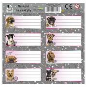 Opakowanie Nalepki na zeszyty Cleo i Frank P (25szt) DERFORM