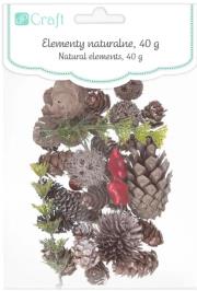 Naturalne elementy mix 50 g. Wydawca: DP CRAFT. Dadada.pl Opakowanie Naturalne elementy mix 50 g