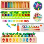 Opakowanie Nauka liczenia marchewki i patyczki