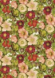 Opakowanie Notatnik ozdobny A5 STNOTE 100 Magnolia