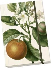 Opakowanie Notatnik ozdobny A5 STNOTE 118 Pomarańcza