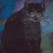 Opakowanie Notes. Kot pastelowy