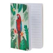 Opakowanie Notes papuga Ara czerwona (6szt)