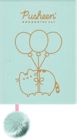 Opakowanie Notes pluszowy A5 96kclinia Pusheen