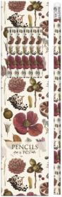 Opakowanie Ołówki ozdobne STPEN03 nasiona i kwiaty 6 sztuk