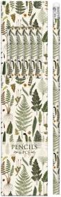 Opakowanie Ołówki ozdobne STPEN04 paprotki 6 sztuk