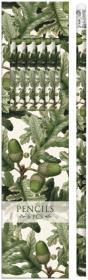 Opakowanie Ołówki ozdobne STPEN07 żołądź 6 sztuk