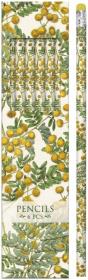 Opakowanie Ołówki ozdobne STPEN19 mimoza - zestaw 6 sztuk