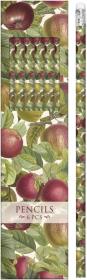 Opakowanie Ołówki ozdobne STPEN34 jabłoń 6 sztuk