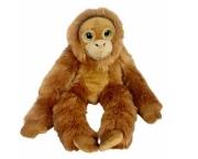 Opakowanie Orangutan big eyes 50cm