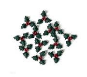 Opakowanie Ostrokrzew papierowy 12szt