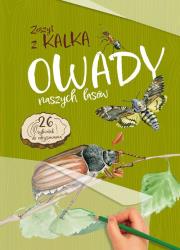 Owady naszych lasów. Zeszyt z kalką. Autor: Katarzyna Kopiec-Sekieta. Dadada.pl Okładka książki Owady naszych lasów. Zeszyt z kalką