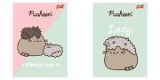 Opakowanie Paczka Zeszyt A4 32 k. kratka Pusheen 15 szt.