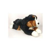 Opakowanie Pies berneński 42cm