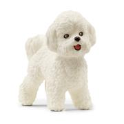 Opakowanie Pies Bichon Frise
