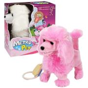 Opakowanie Pies pudel chodzący na smyczy MIX