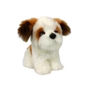 Opakowanie Pies Shih Tzu 18cm