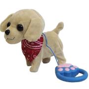 Opakowanie Piesek chodzący na smyczy