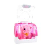 Opakowanie Piesek do czesania w koszyczku