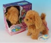 Piesek ze smyczą na baterie. Wydawca: Macyszyn Toys. Dadada.pl Opakowanie Piesek ze smyczą na baterie