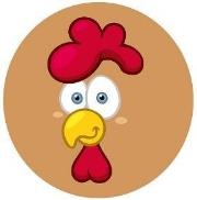 Piłka PVC 230MM - Kogucik. Wydawca: Artyk. Dadada.pl Opakowanie Piłka PVC 230MM - Kogucik