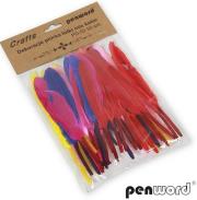 Piórka lotki mix 10-15cm 50szt. Wydawca: PENWORD. Dadada.pl Opakowanie Piórka lotki mix 10-15cm 50szt