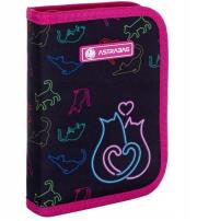 Opakowanie Piórnik pojedynczy 2 klapki bez wyp. Rainbow ASTRA