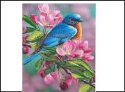 Opakowanie Płótno malarskie ze szkicem 40x50 89655