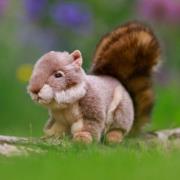 Opakowanie Pluszowa wiewiórka szara