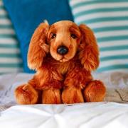 Opakowanie Pluszowy Cocker Spaniel