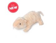 Opakowanie Pluszowy Golec Piaskowy