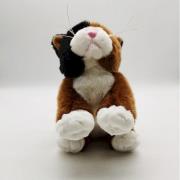 Opakowanie Pluszowy kot