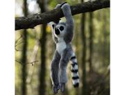 Pluszowy lemur na rzepy. Wydawca: One for Fun. Dadada.pl Opakowanie Pluszowy lemur na rzepy