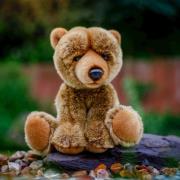 Pluszowy niedźwiedź Grizli. Wydawca: One for Fun. Dadada.pl Opakowanie Pluszowy niedźwiedź Grizli