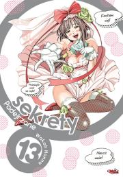 Podejrzane sekrety. Tom 13. Autor: Wakou Honna. Dadada.pl Okładka książki Podejrzane sekrety. Tom 13