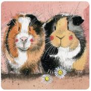 Opakowanie Podkładka pod kubek C128 Świnki morskie