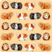 Opakowanie Podkładka pod kubek C218 Świnki morskie