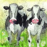 Opakowanie Podkładka pod kubek C34 Ciekawskie krowy