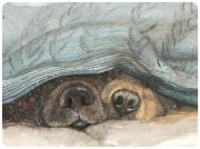 Opakowanie Podkładka pod talerz MT37 Noski psów