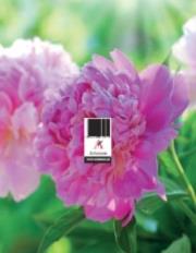 Opakowanie Podstawka zdzieraka uniwersalna MIX