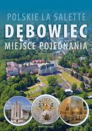 Polskie La Salette. Dębowiec. Miejsce pojednania. Autor:   Praca zbiorowa. Dadada.pl Okładka książki Polskie La Salette. Dębowiec. Miejsce pojednania