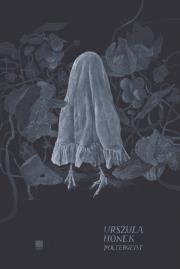 Poltergeist. Autor: Urszula Honek. Dadada.pl Okładka książki Poltergeist