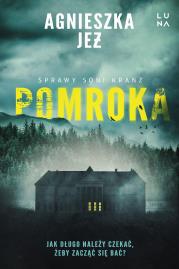 Pomroka. Autor: Jeż Agnieszka. Dadada.pl Okładka książki Pomroka