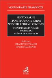 Okładka książki Prawo karne i postępowanie karne w dobie..