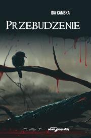 Okładka książki Przebudzenie
