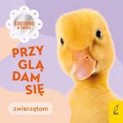 Przyglądam się zwierzętom. Autor: Paszkiewicz Anna. Dadada.pl Okładka książki Przyglądam się zwierzętom