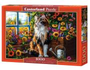 Opakowanie Puzzle 1000 Blooming Cat Meditation CASTOR