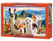 Opakowanie Puzzle 1000 el.  C-104758-2 Llamas Selfie