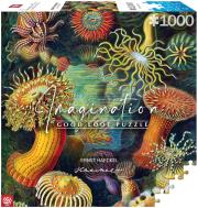 Puzzle 1000 Ernst Haeckel: Stworzenia morskie. Wydawca: GOOD LOOT. Dadada.pl Opakowanie Puzzle 1000 Ernst Haeckel: Stworzenia morskie