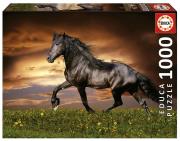 Opakowanie Puzzle 1000 Kłusujący koń